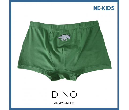 Bamboo Boys Boxers - Dinosaur New (3 Pack Set)